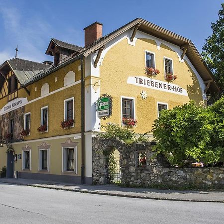 Triebenerhof Hotel Екстериор снимка