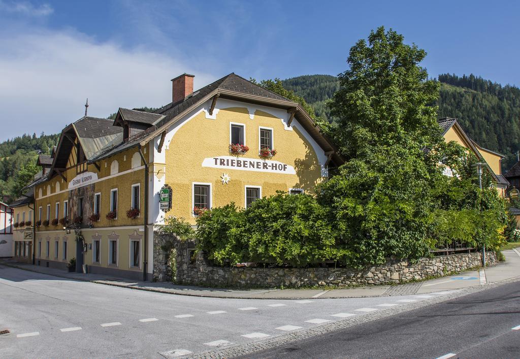 Triebenerhof Hotel Екстериор снимка
